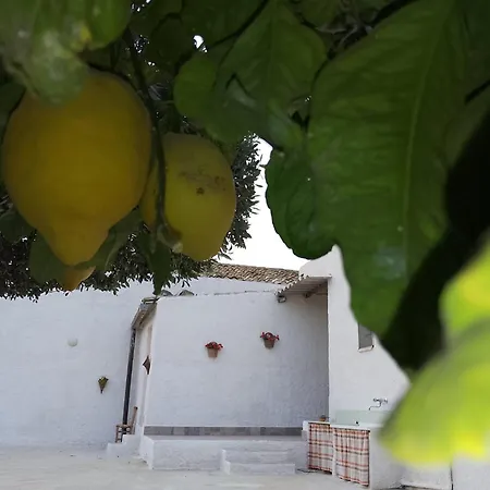 Casa L'agrumeto Marsala
